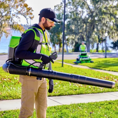 Воздуходув ранцевый Greenworks GD82BP2 82V 2408307 бесщеточный аккумуляторный — детальное фото