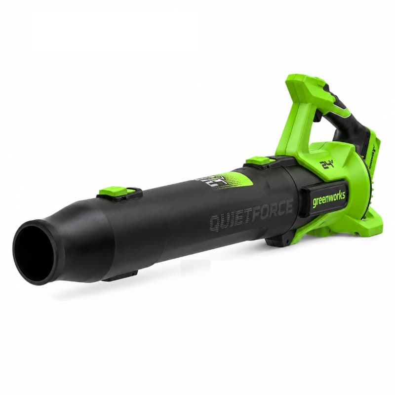 Воздуходувка Greenworks BL2900C 24V BL2900CA1 (209 км/ч) бесщеточная аккумуляторная — детальное фото